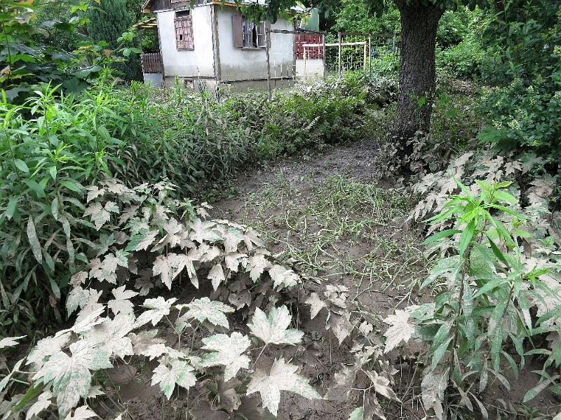 Hochwasser (283).JPG